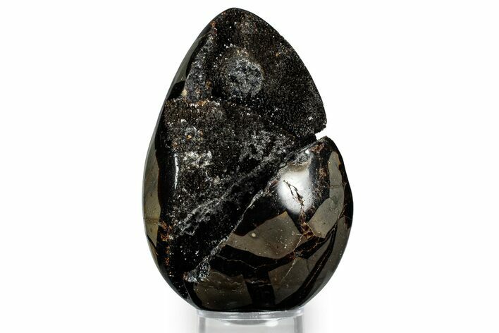 Septarian Dragon Egg Geode - Sparkly Black Crystals #348450